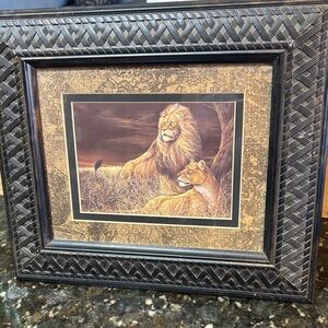 Serengeti plains  safari lion 8X 10 photo